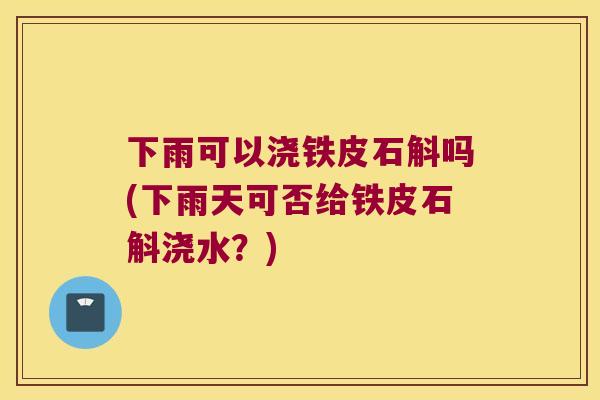下雨可以浇铁皮石斛吗(下雨天可否给铁皮石斛浇水？)