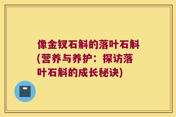 像金钗石斛的落叶石斛(营养与养护：探访落叶石斛的成长秘诀)
