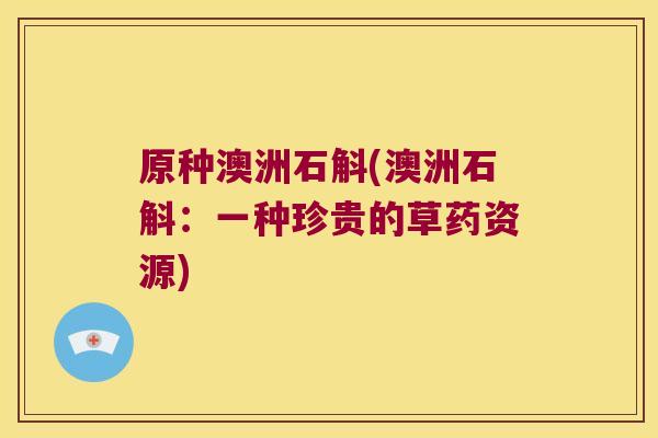 原种澳洲石斛(澳洲石斛：一种珍贵的草药资源)