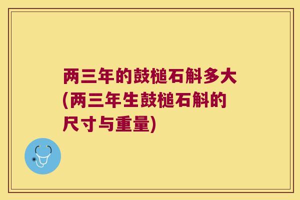 两三年的鼓槌石斛多大(两三年生鼓槌石斛的尺寸与重量)