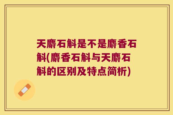 天麝石斛是不是麝香石斛(麝香石斛与天麝石斛的区别及特点简析) 天麝石斛是不是麝香石斛(麝香石斛与天麝石斛的区别及特点简析)