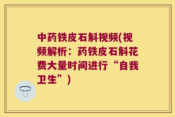 铁皮石斛视频(视频解析：药铁皮石斛花费大量时间进行“自我卫生”)