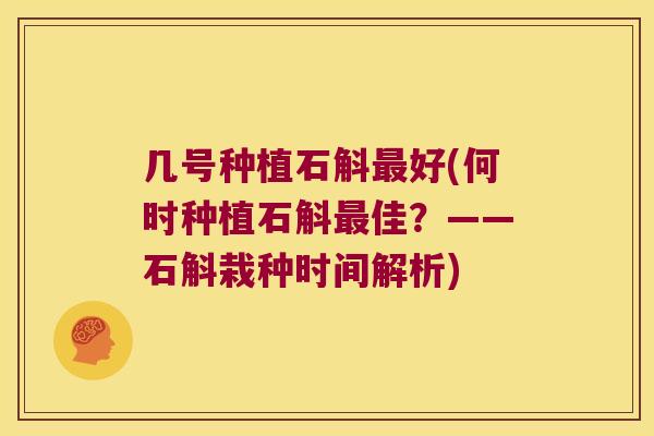 几号种植石斛好(何时种植石斛佳？——石斛栽种时间解析)
