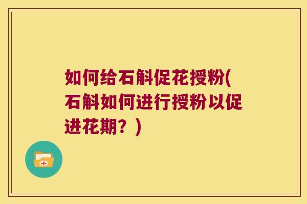 如何给石斛促花授粉(石斛如何进行授粉以促进花期？)