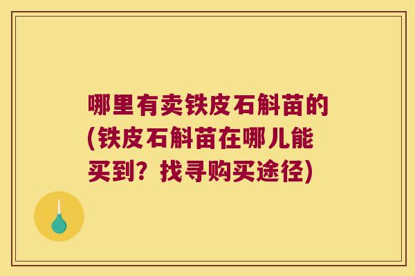 哪里有卖铁皮石斛苗的(铁皮石斛苗在哪儿能买到？找寻购买途径)