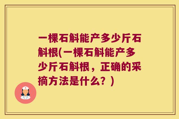 一棵石斛能产多少斤石斛根(一棵石斛能产多少斤石斛根，正确的采摘方法是什么？)