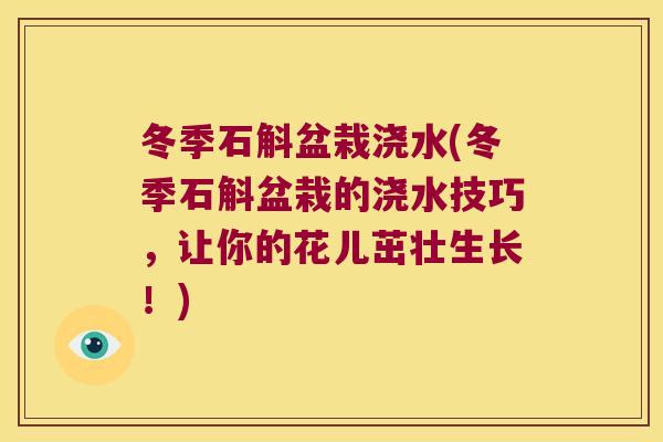 冬季石斛盆栽浇水(冬季石斛盆栽的浇水技巧，让你的花儿茁壮生长！)