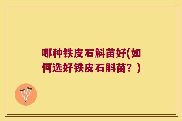 哪种铁皮石斛苗好(如何选好铁皮石斛苗？)