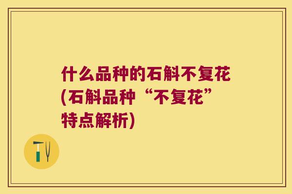 什么品种的石斛不复花(石斛品种“不复花”特点解析)