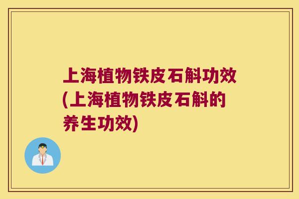 上海植物铁皮石斛功效(上海植物铁皮石斛的养生功效)