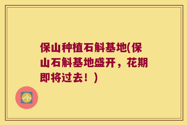 保山种植石斛基地(保山石斛基地盛开，花期即将过去！)