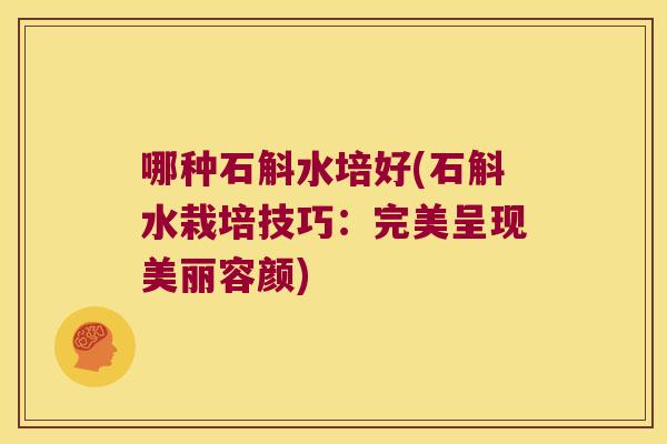 哪种石斛水培好(石斛水栽培技巧：完美呈现美丽容颜)