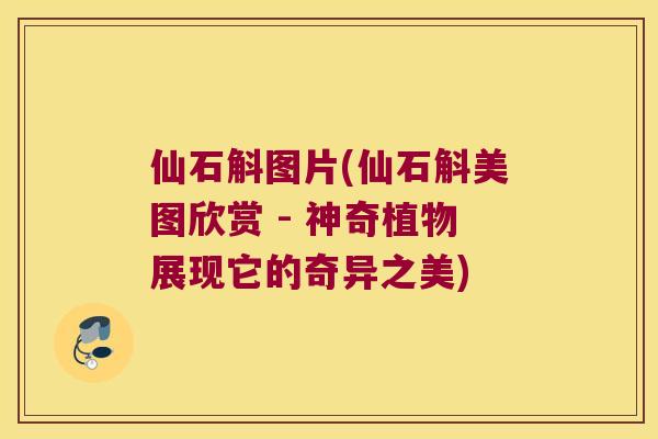 仙石斛图片(仙石斛美图欣赏 - 神奇植物展现它的奇异之美)