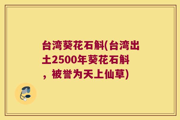 台湾葵花石斛(台湾出土2500年葵花石斛，被誉为天上仙草)