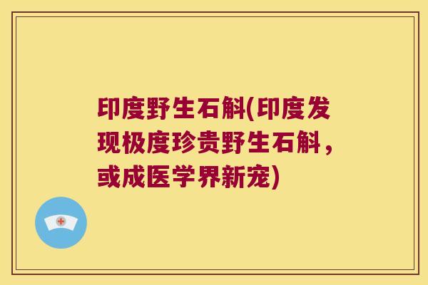 印度野生石斛(印度发现极度珍贵野生石斛，或成医学界新宠)