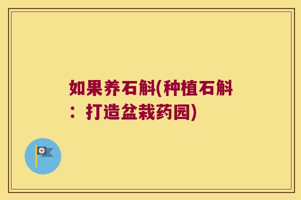 如果养石斛(种植石斛：打造盆栽药园)