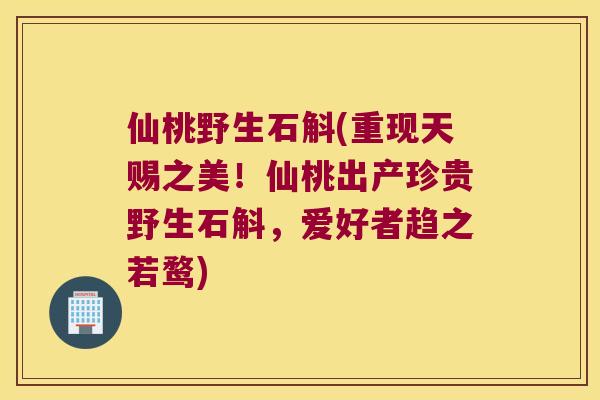 仙桃野生石斛(重现天赐之美!仙桃出产珍贵野生石斛,爱好者趋之若鹜) 仙桃野生石斛(重现天赐之美!仙桃出产珍贵野生石斛,爱好者趋之若鹜)