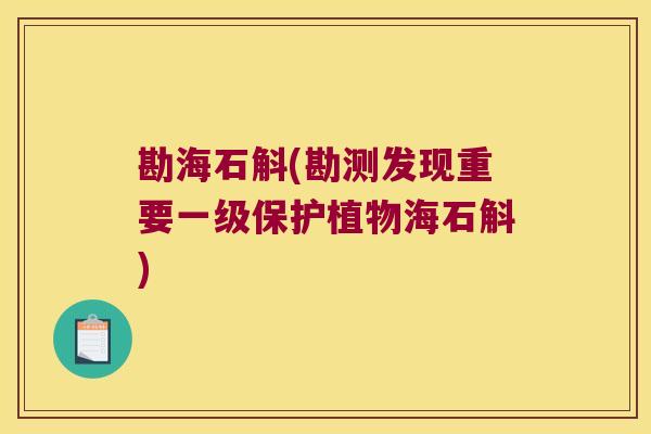 勘海石斛(勘测发现重要一级保护植物海石斛)