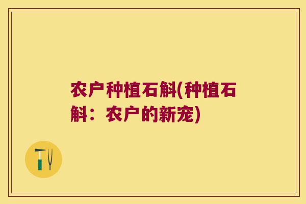 农户种植石斛(种植石斛：农户的新宠)