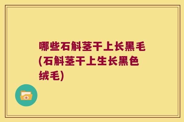 哪些石斛茎干上长黑毛(石斛茎干上生长黑色绒毛)