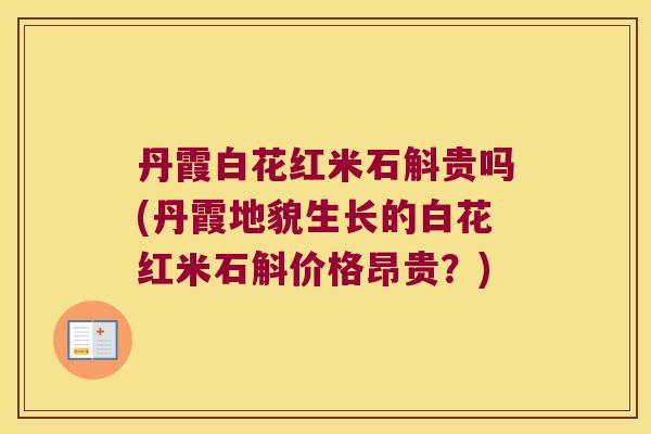 丹霞白花红米石斛贵吗(丹霞地貌生长的白花红米石斛价格昂贵？)