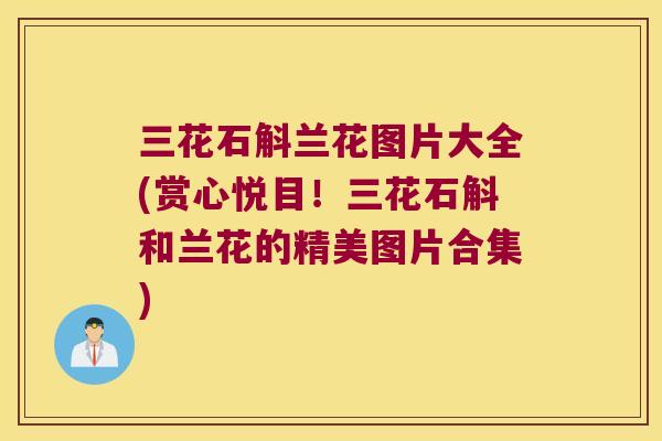 三花石斛兰花图片大全(赏心悦目！三花石斛和兰花的精美图片合集)