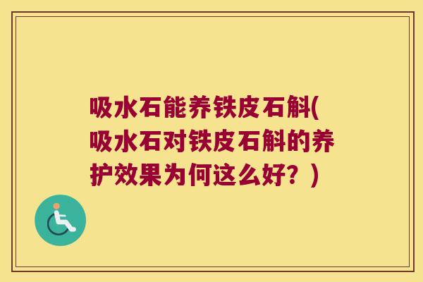 吸水石能养铁皮石斛(吸水石对铁皮石斛的养护效果为何这么好？)