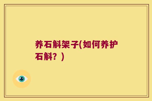 养石斛架子(如何养护石斛？)