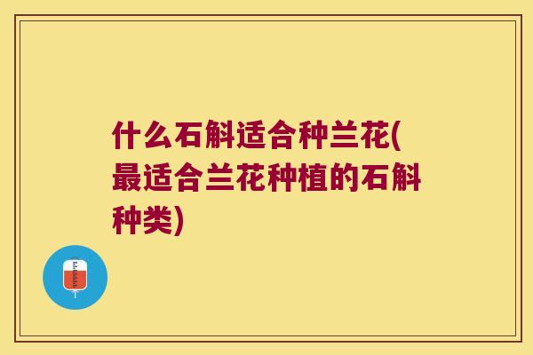 什么石斛适合种兰花(最适合兰花种植的石斛种类)