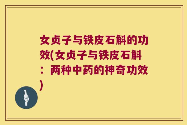 女贞子与铁皮石斛的功效(女贞子与铁皮石斛:两种的神奇功效) 女贞子与铁皮石斛的功效(女贞子与铁皮石斛:两种的神奇功效)