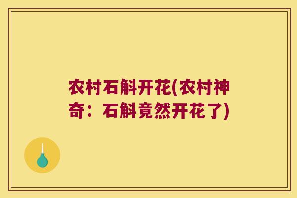 农村石斛开花(农村神奇:石斛竟然开花了) 农村石斛开花(农村神奇:石斛竟然开花了)