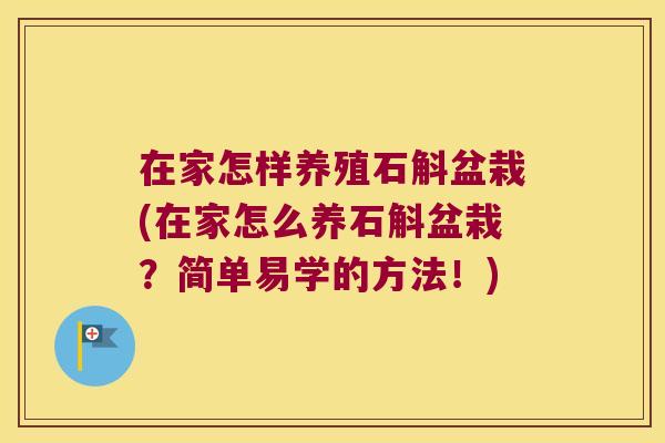在家怎样养殖石斛盆栽(在家怎么养石斛盆栽？简单易学的方法！)