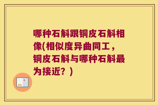 哪种石斛跟铜皮石斛相像(相似度异曲同工，铜皮石斛与哪种石斛最为接近？)