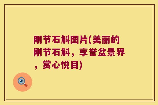 刚节石斛图片(美丽的刚节石斛，享誉盆景界，赏心悦目)