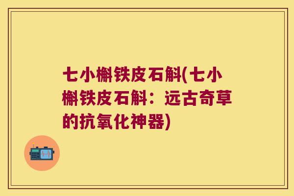 七小槲铁皮石斛(七小槲铁皮石斛:远古奇草的神器) 七小槲铁皮石斛(七小槲铁皮石斛:远古奇草的神器)