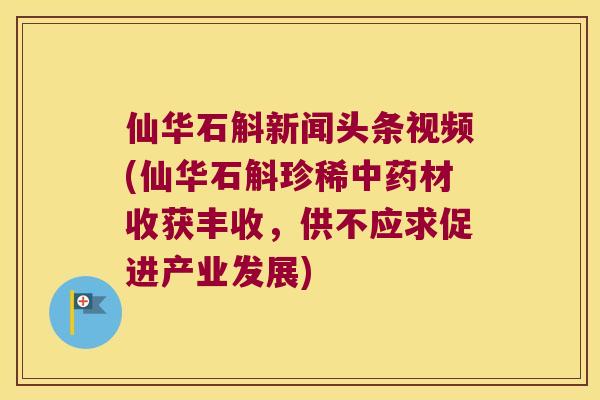 仙华石斛新闻头条视频(仙华石斛珍稀中药材收获丰收，供不应求促进产业发展)