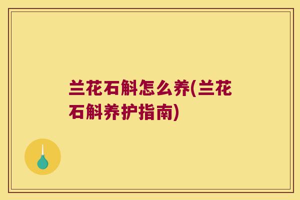 兰花石斛怎么养(兰花石斛养护指南)