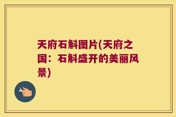 天府石斛图片(天府之国：石斛盛开的美丽风景)