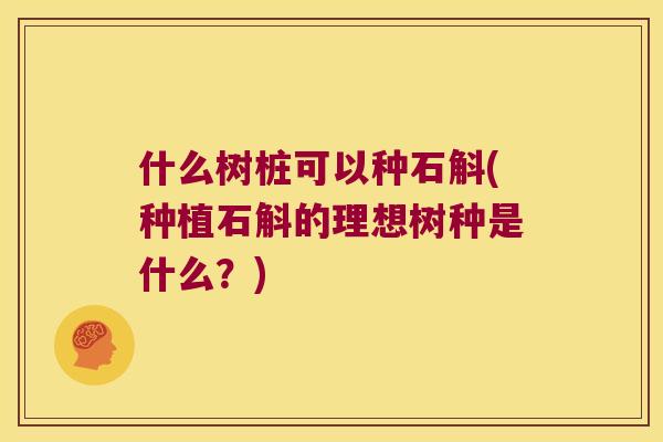 什么树桩可以种石斛(种植石斛的理想树种是什么？)