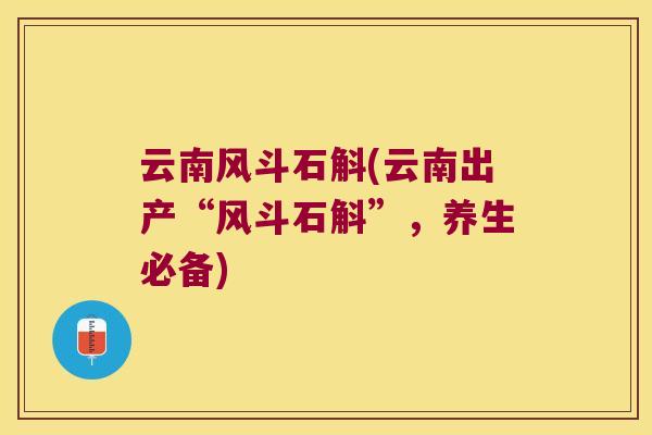 云南风斗石斛(云南出产“风斗石斛”，养生必备)