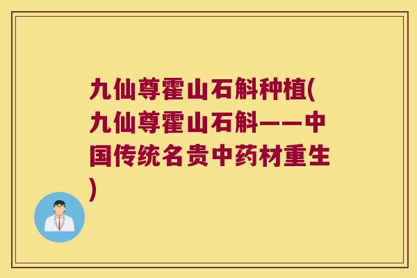 九仙尊霍山石斛种植(九仙尊霍山石斛——中国传统名贵中药材重生)
