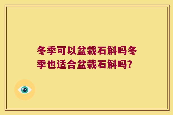 冬季可以盆栽石斛吗冬季也适合盆栽石斛吗？