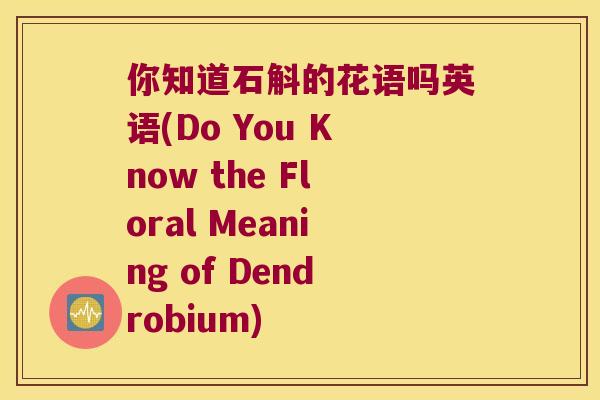 你知道石斛的花语吗英语(Do You Know the Floral Meaning of Dendrobium)