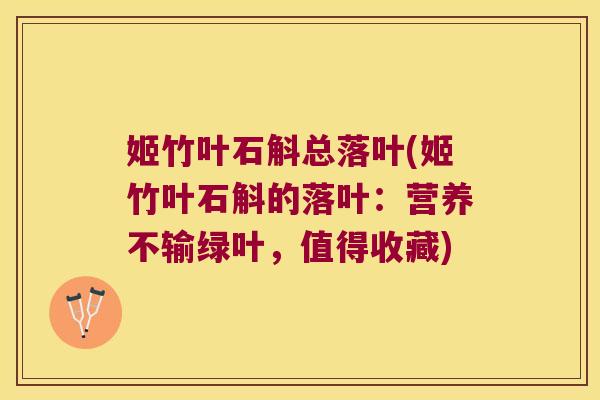 姬竹叶石斛总落叶(姬竹叶石斛的落叶：营养不输绿叶，值得收藏)