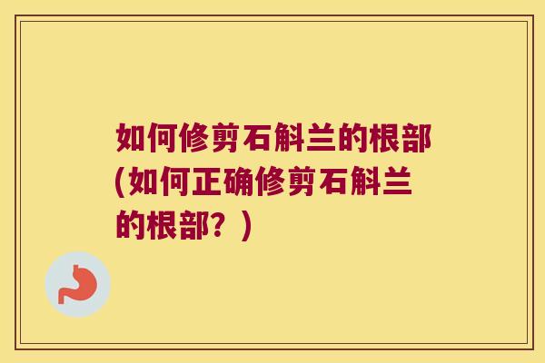 如何修剪石斛兰的根部(如何正确修剪石斛兰的根部?) 如何修剪石斛兰的根部(如何正确修剪石斛兰的根部?)