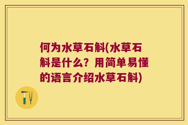 何为水草石斛(水草石斛是什么？用简单易懂的语言介绍水草石斛)