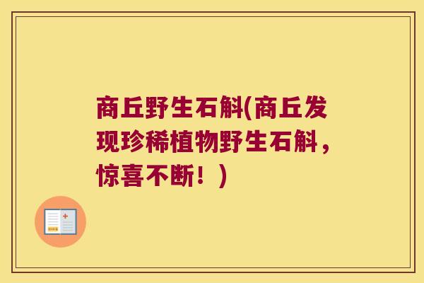 商丘野生石斛(商丘发现珍稀植物野生石斛，惊喜不断！)