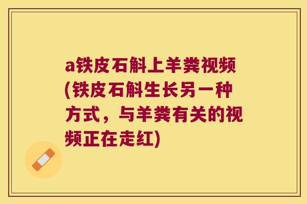 a铁皮石斛上羊粪视频(铁皮石斛生长另一种方式，与羊粪有关的视频正在走红)