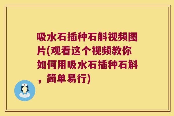 吸水石插种石斛视频图片(观看这个视频教你如何用吸水石插种石斛，简单易行)
