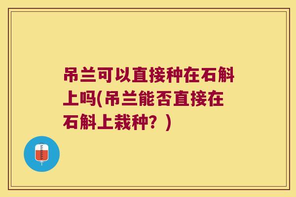 吊兰可以直接种在石斛上吗(吊兰能否直接在石斛上栽种？)